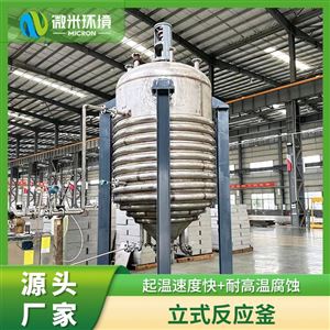 立式反应搅拌罐